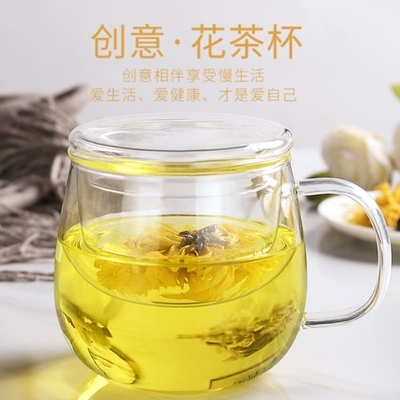 玻璃杯家用水杯 带盖过滤泡花茶杯子 带把茶水分离办公透明茶杯