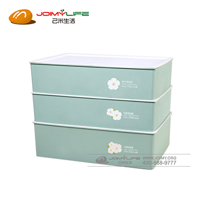 家用有盖文胸袜子内裤储物箱定制