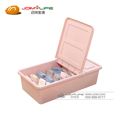 塑料带盖分格内衣收纳盒 加厚衣物整理箱定制